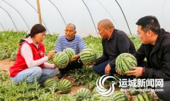 加国内大型专业展会